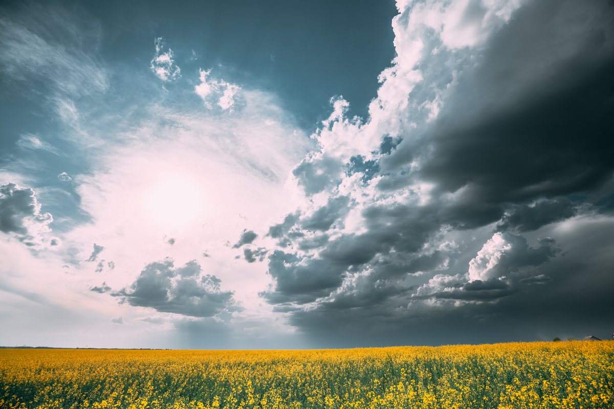 Cloudy Day