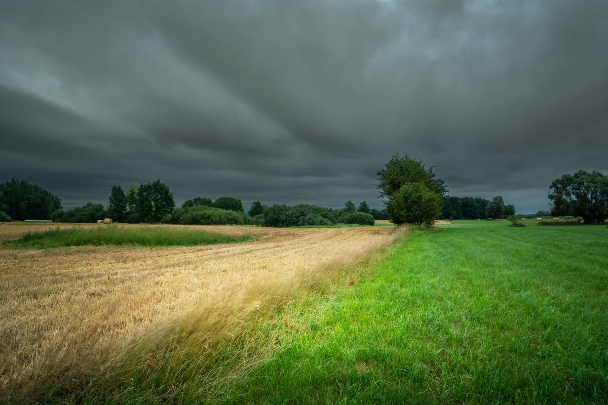Very Overcast Day