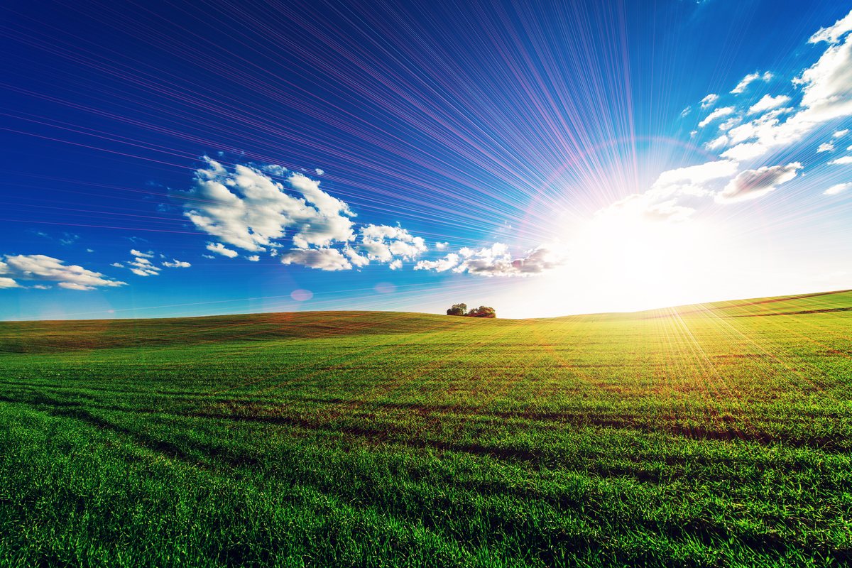 Perfect Sunny Day