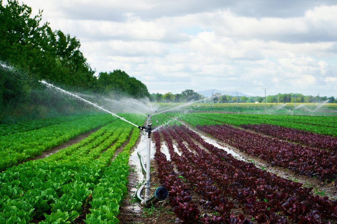 Agriculture Irrigation